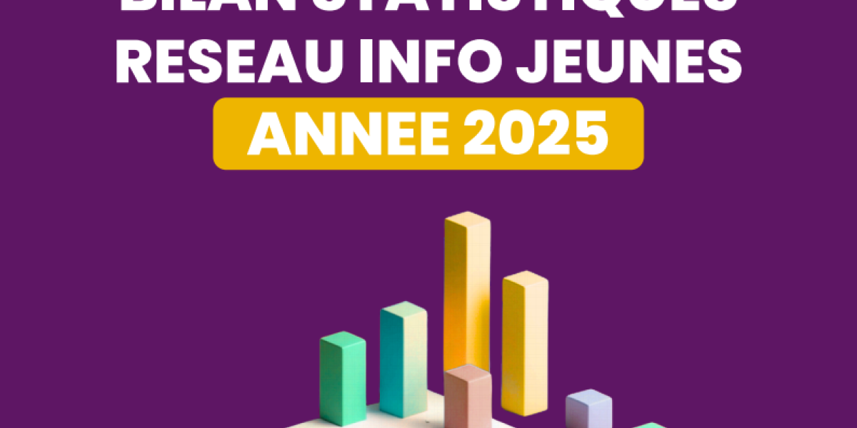 Bilan national IJ Stats 2025