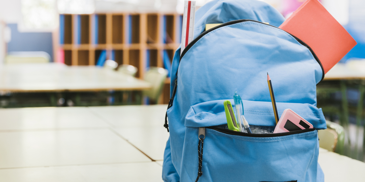 Scolarité et orientation au collège